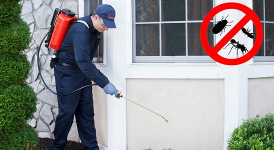 Çamlıhemşin Haşere İlaçlama böcek ilaçlama ve haşere kontrolü — ilaclama-tr.com